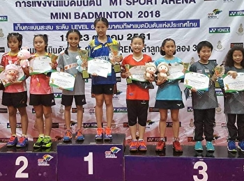 แบดมินตัน MT SPORT ARENA MINI BADMINTON
2018