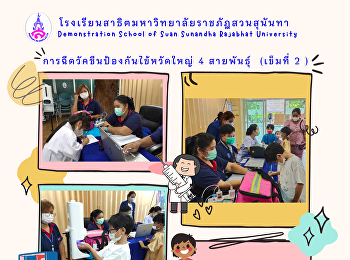 การฉีดวัคซีนป้องกันไข้หวัดใหญ่ 4
สายพันธุ์  (เข็มที่ 2 )