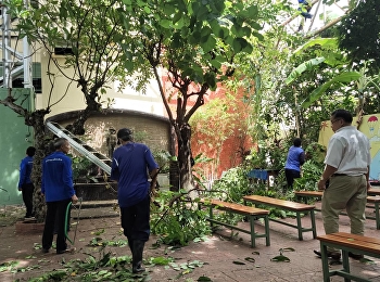 the management arranges for the
development staff to clean Trim trees
