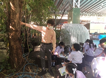 Adventure activities in science
subjects. Grade 1, episode 'Trees in
Wang Sunandha Fence