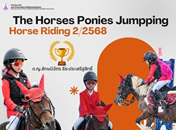 The Horses Ponies Jumping Competition,
2nd Round/2025