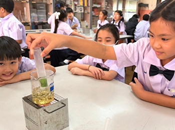 “ใบไม้ธรรมดา…แต่ซ่อนความลับเอาไว้!